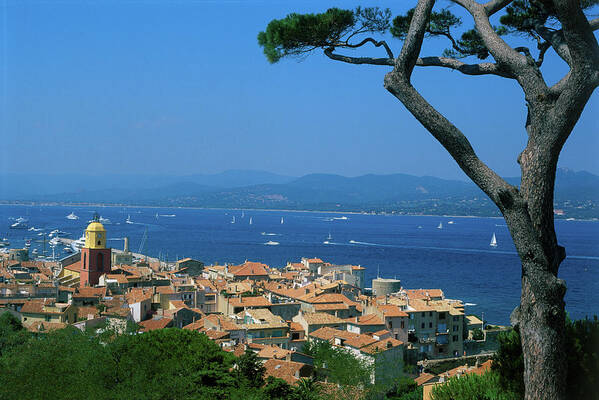 Scenics Art Print featuring the photograph Saint-tropez - Provence by Martial Colomb