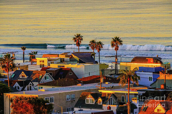 San Diego Art Print featuring the photograph San Diego Beach by Darcy Dietrich