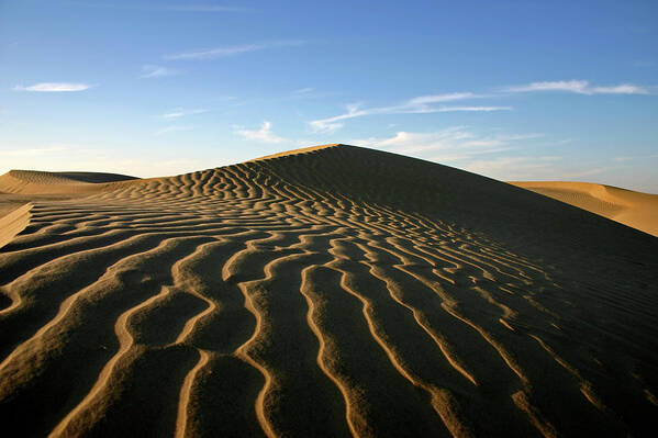 Scenics Art Print featuring the photograph Sand Dunes by Bremecr