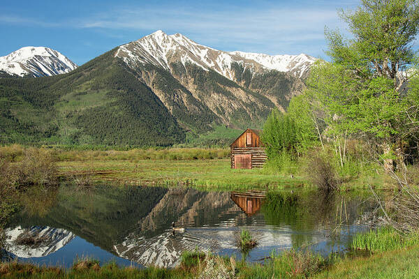 Sawatch Art Print featuring the photograph Sawatch Cabin - Spring by Aaron Spong