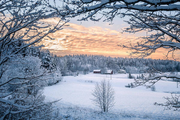 Landscape Art Print featuring the photograph Scenic Winter Landscapw With Farm House by Jani Riekkinen