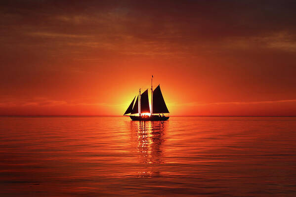 Edith M. Becker Art Print featuring the photograph Schooner Eclipses the Sunset by David T Wilkinson