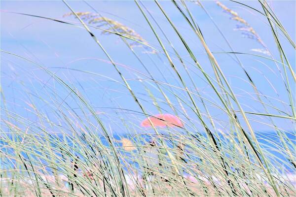 Seaside Art Print featuring the photograph Seaside by Merle Grenz