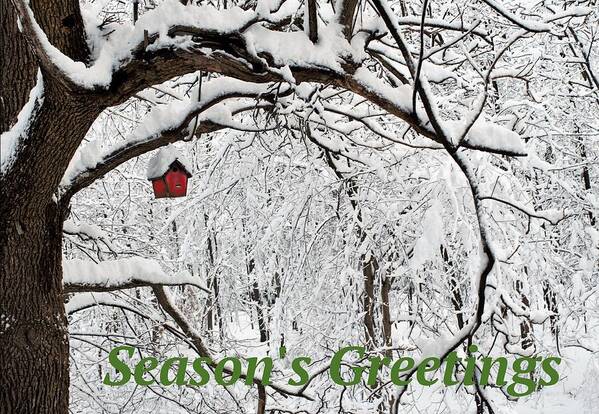 Season Art Print featuring the photograph Season's Greetings by R Allen Swezey