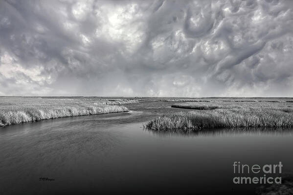 Landscape Art Print featuring the photograph Serenity Before The Storm by DB Hayes