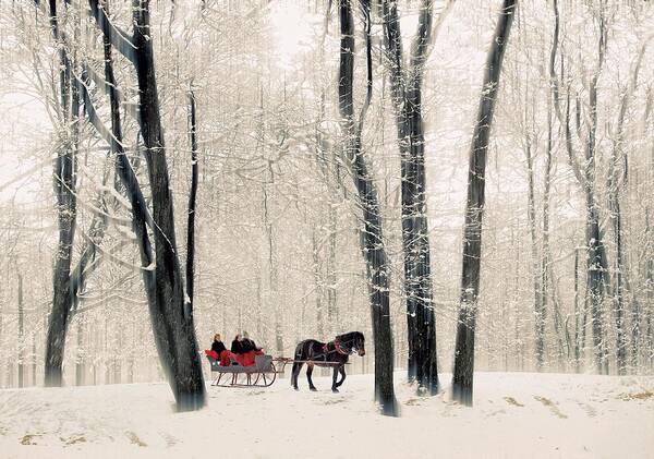 Winter Art Print featuring the photograph Winter Sleigh Ride by Jessica Jenney