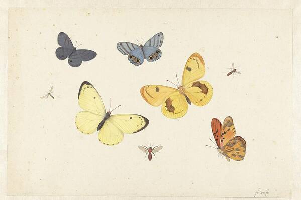 Sheet Of Studies With Five Butterflies Art Print featuring the painting Sheet of Studies with Five Butterflies by MotionAge Designs