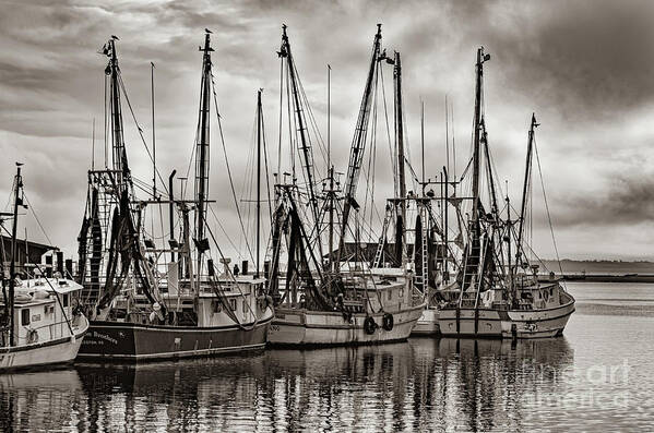 Shem Creek Art Print featuring the photograph Shem Creek Saltwater Cowboys in Sepia by Dale Powell