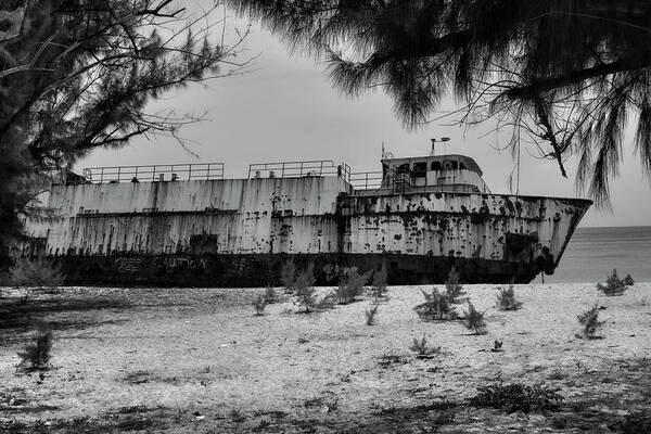 Shipwreck Art Print featuring the photograph Shipwreck Through the Trees by Robert Wilder Jr