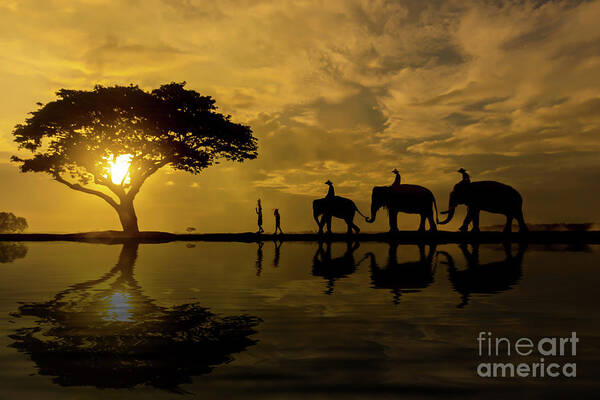 Orange Color Art Print featuring the photograph Silhouette Elephant At Sunrise by Visoot Uthairam