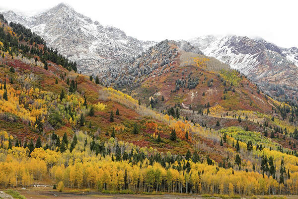Utah Art Print featuring the photograph Silver Lake Flat with Fall Colors - American Fork Canyon, Utah by Brett Pelletier