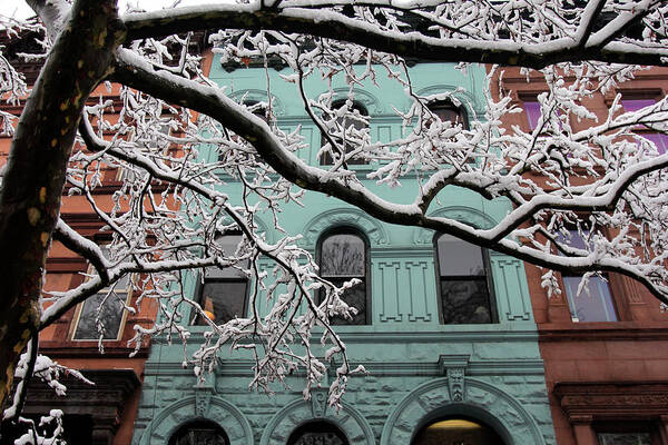 Brownstones Building Art Print featuring the photograph Snowstorm Brownstones Branches by Robert Goldwitz