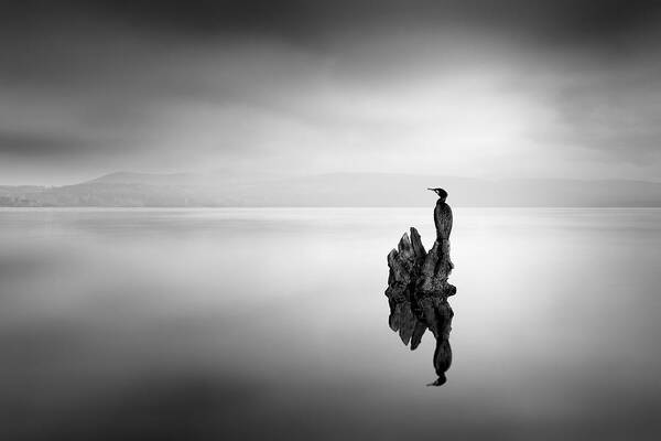 Landscape Art Print featuring the photograph Solitary Life by George Digalakis
