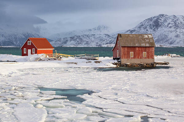 Tromso Art Print featuring the photograph Sommarøya Seafront by Antonyspencer