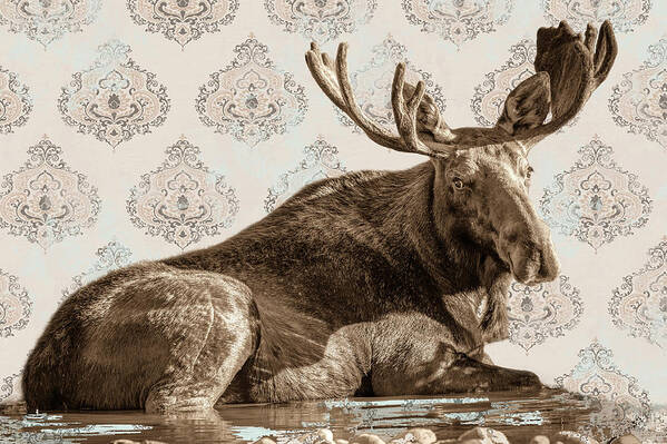 Moose Art Print featuring the photograph Spa Day by Mary Hone