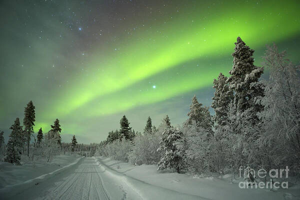 Lapland Art Print featuring the photograph Spectacular Aurora Borealis Northern by Sara Winter
