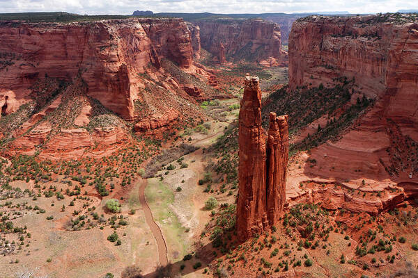 Scenics Art Print featuring the photograph Spider Rock by Jlr
