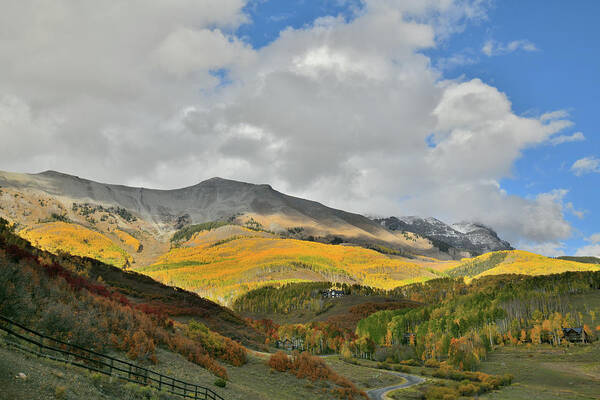 Telluride Art Print featuring the photograph Spotlight on Fall Colors above Telluride by Ray Mathis