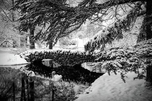 B&w Art Print featuring the photograph Spring Grove in the Snow by Ed Taylor