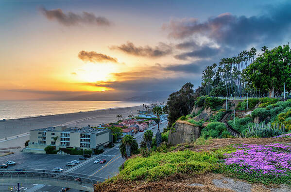 Palisades Park Art Print featuring the photograph Spring In The Park On The Bluffs by Gene Parks