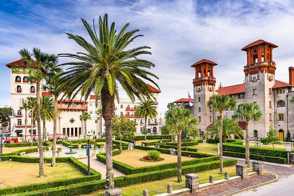 Trees Art Print featuring the photograph St. Augustine, Florida, Usa City Hall by Sean Pavone