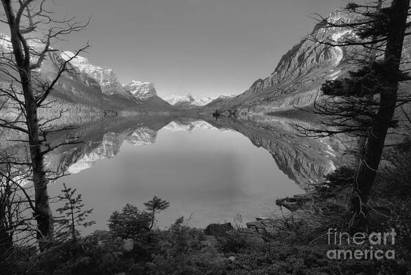 St Mary Art Print featuring the photograph St. Mary Sunrise Through The Trees Black And White by Adam Jewell