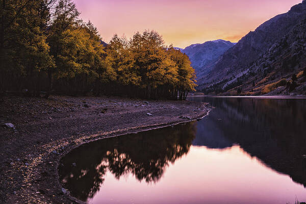 Nature Art Print featuring the photograph Still Waters by Jason Roberts