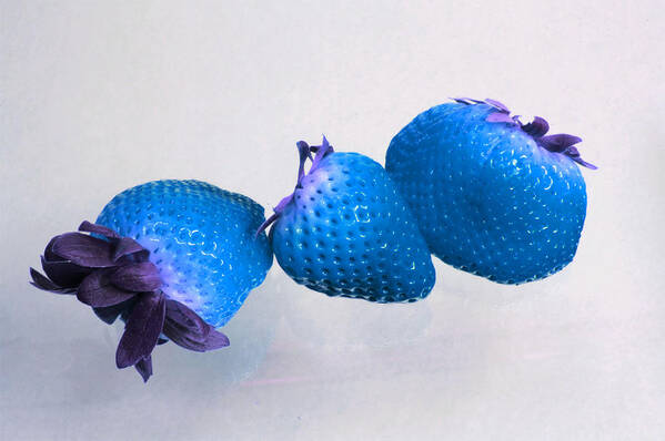 Blue Berries Art Print featuring the photograph straw Berry Blues by Tom Kelly