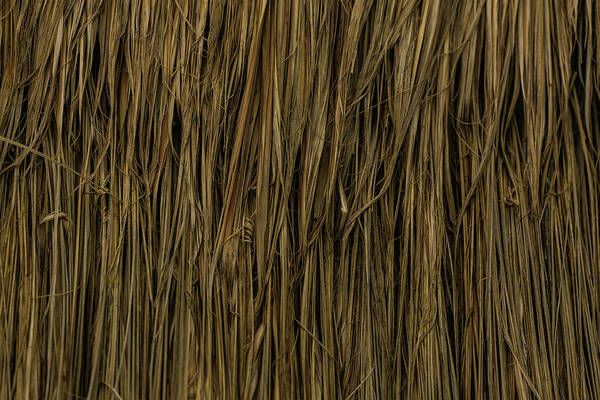 Tulum Art Print featuring the photograph Straw texture by Julieta Belmont