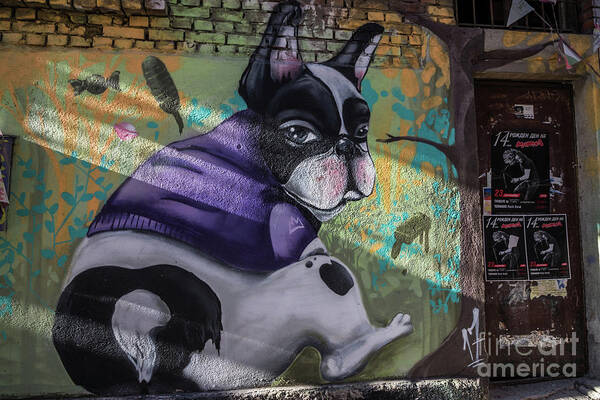 Street Art Art Print featuring the photograph Street Art in Plovdiv by Eva Lechner