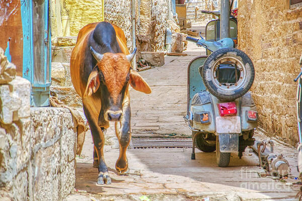 Roads Of India Art Print featuring the photograph Streets of India 3 by Stefano Senise