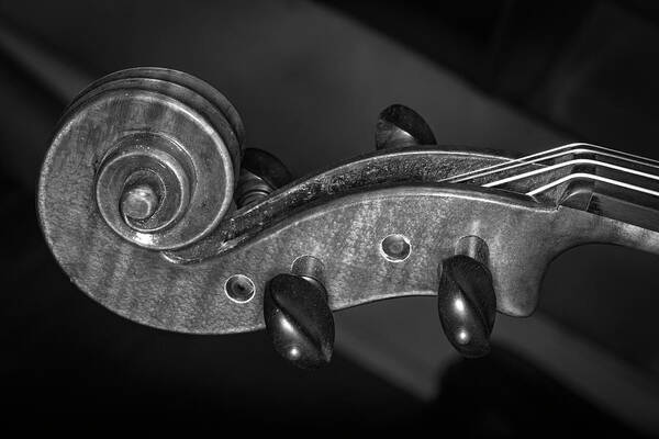 Music Art Print featuring the photograph Strings Series 36 by David Morefield