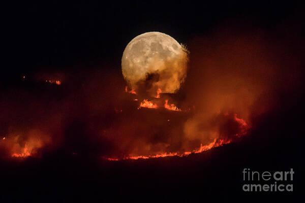 Social Issues Art Print featuring the photograph Summer Weather Sparks Wildfire by Anthony Devlin