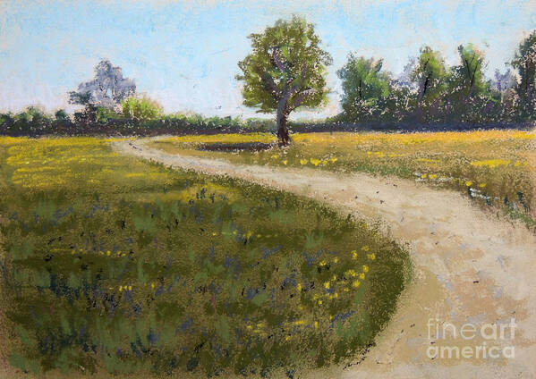 Pastel Art Print featuring the pastel Sunny Meadow by Jayne Wilson