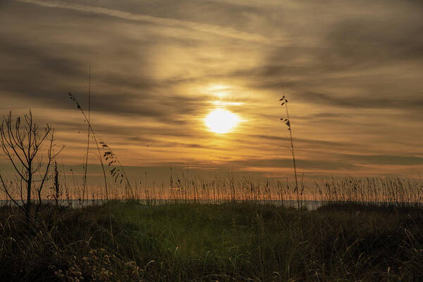 Sunrise Art Print featuring the photograph Sunrise Between Sea Grass No. 0408 by Dennis Schmidt