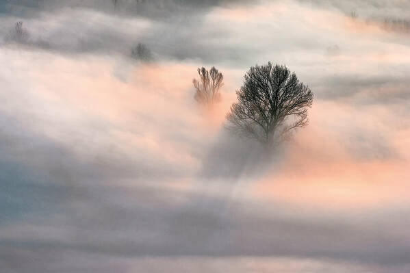 Sunrise Art Print featuring the photograph Sunrise In The Fog by Fiorenzo Rondi