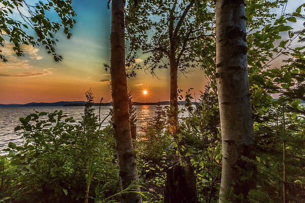 Nature Art Print featuring the photograph Sunset along Dog Lake by Joe Holley