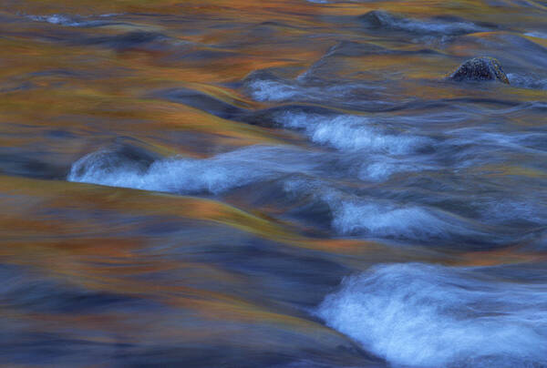 Abstract Art Print featuring the photograph Swift River With Autumnal Colour White by Nhpa