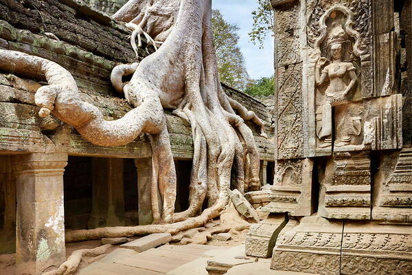 Scenic Art Print featuring the photograph Ta Prohm Temple, Angkor, Cambodia, Asia by Jan Wlodarczyk