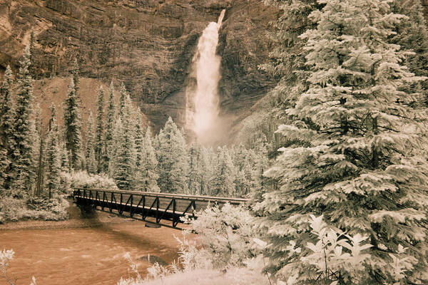 Takakkaw Falls & Bridge Art Print featuring the photograph Takakkaw Falls & Bridge, Canadian Rockies, Canada 06 - Infrared by Monte Nagler