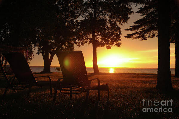 Sunrise Art Print featuring the photograph Taking in the View by Marianne Kuzimski