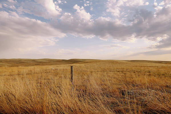 Tranquility Art Print featuring the photograph Tall Brown Grass Field With Fence And by Lori Andrews