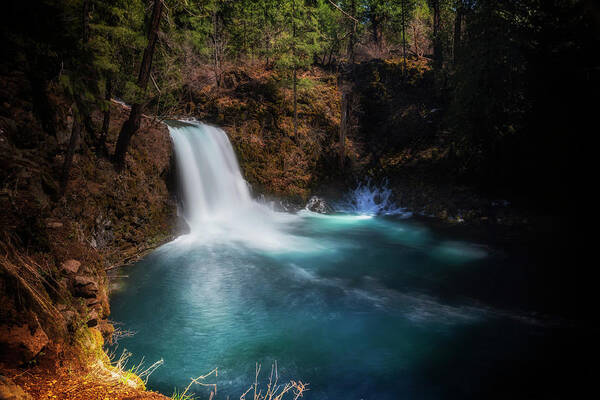 River Art Print featuring the photograph Tamolitch Falls by Cat Connor