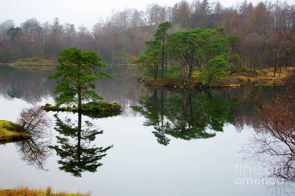 Tarn Hows Art Print featuring the photograph Tarn Hows on a misty morning in December Lake District by Louise Heusinkveld