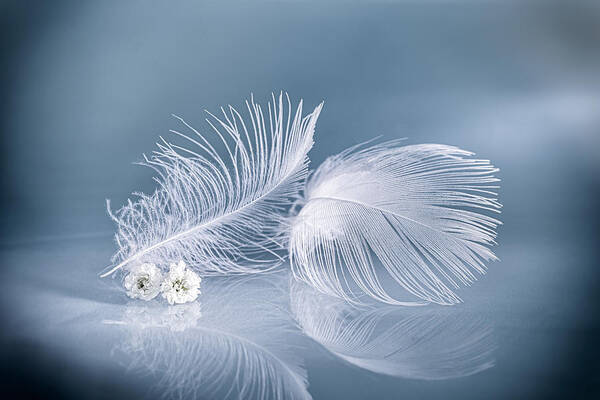 Macro Art Print featuring the photograph Tenderness by Igor Kopcev