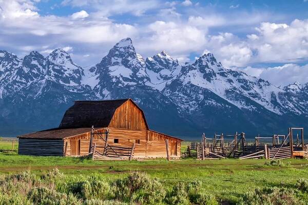 Mountains Art Print featuring the photograph Tetons in the Backyard by Harriet Feagin