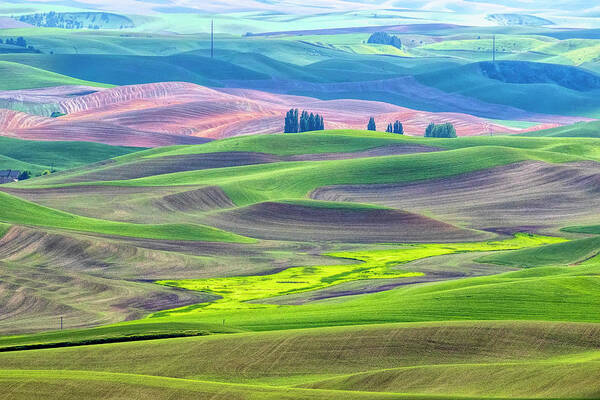 Washington Art Print featuring the photograph The Color Palette of the Palouse by Cheryl Strahl