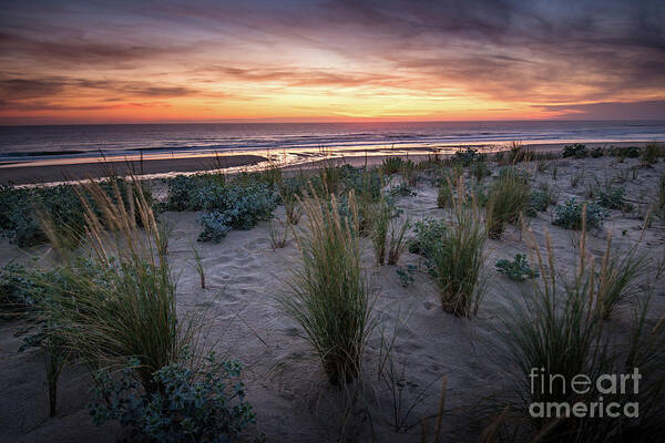 Natural Landscape Art Print featuring the photograph The Dunes In The Sunset Light by Hannes Cmarits