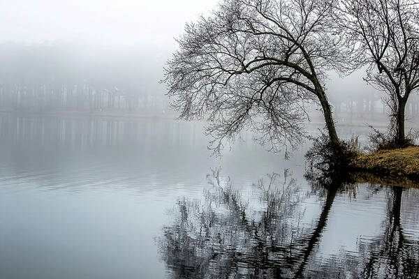 Fog Art Print featuring the digital art The Foggy Lake by Ed Stines