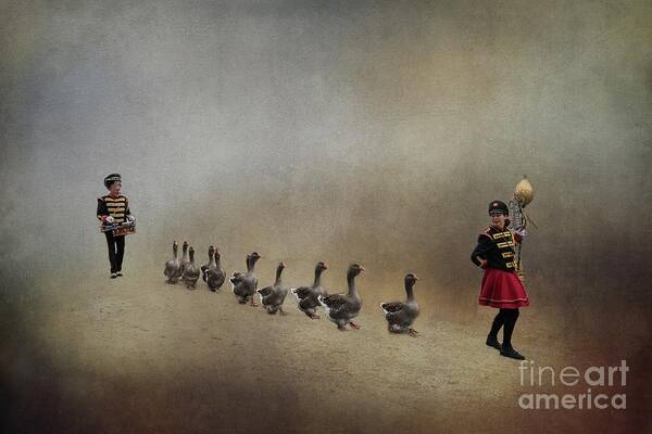 Toulouse Geese Art Print featuring the photograph The Geeseparade by Eva Lechner